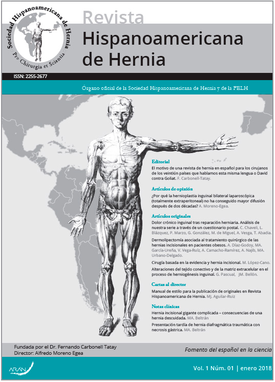 Revista Hispanoamericana de hernia