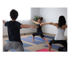 AFDA0311 Instrucción en Yoga