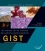 Actualizacion y revision del manejo de los tumores del estroma gastrointestinal GIST