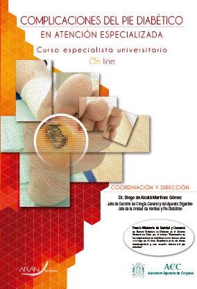 Curso de Especialista Universitario “Complicaciones del pie diabético en atención especializada”